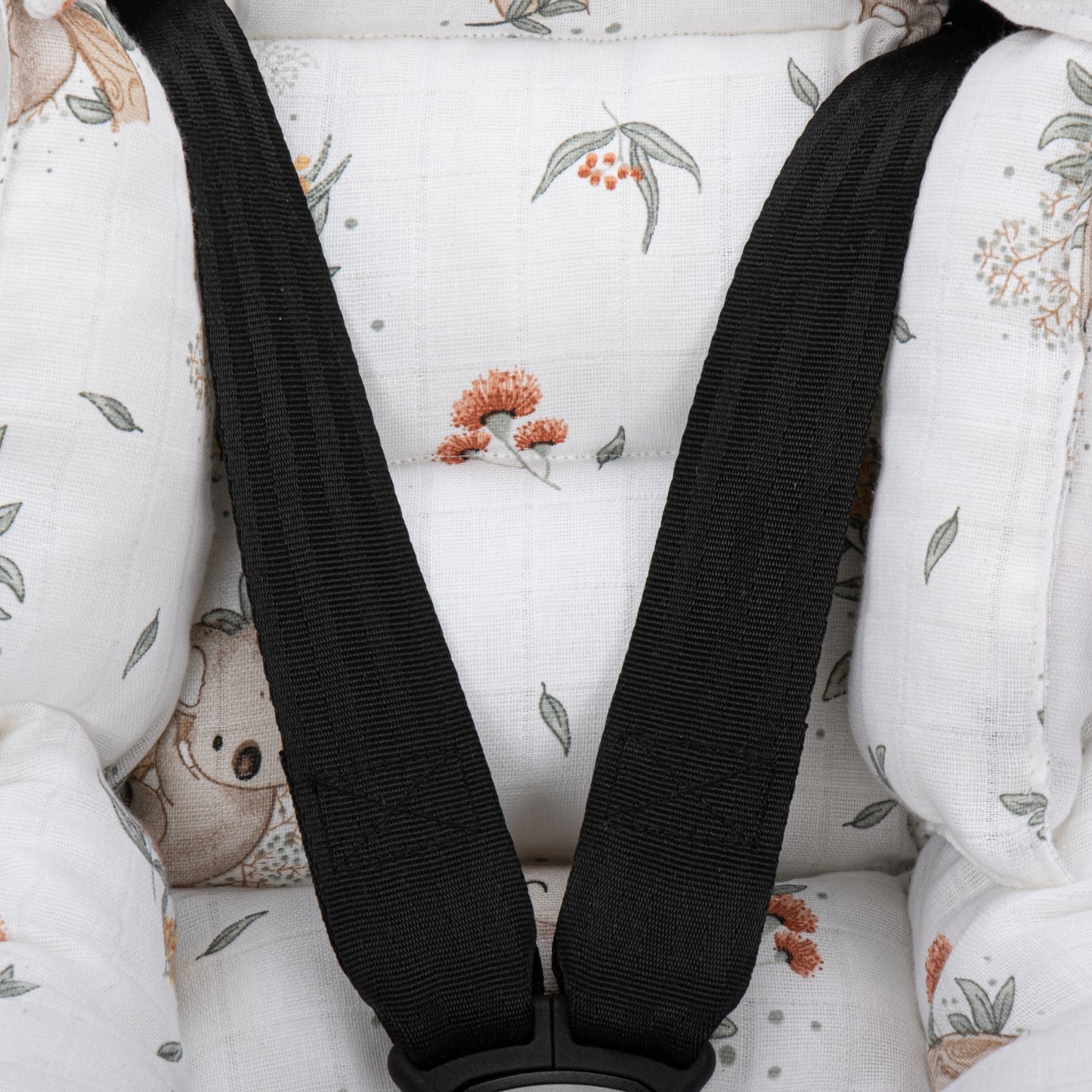 Puset Minderi - Koala