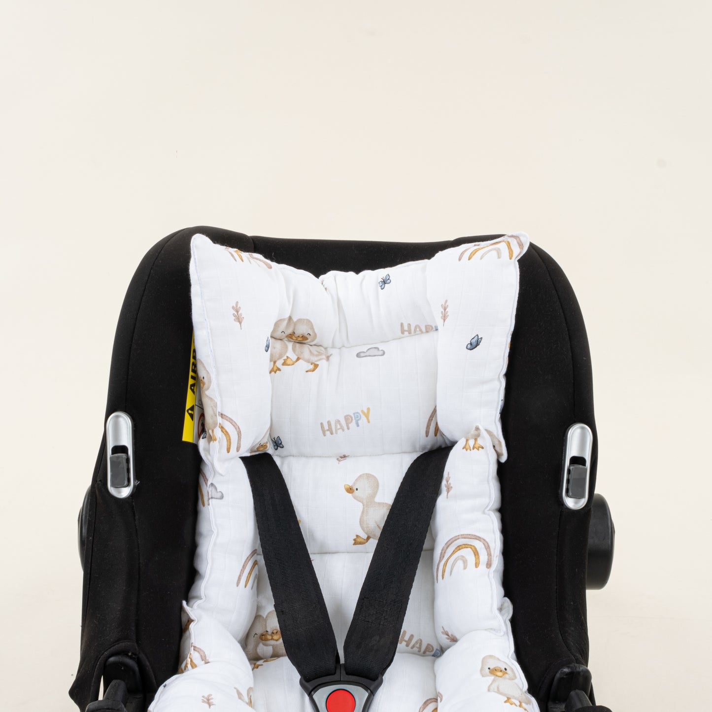 Puset Minderi - Kahverengi ördek